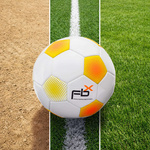 Football METEOR FBX #5 white