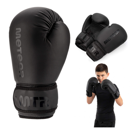 Boxing Gloves Meteor 8 oz training, hook-and-loop strap, PU