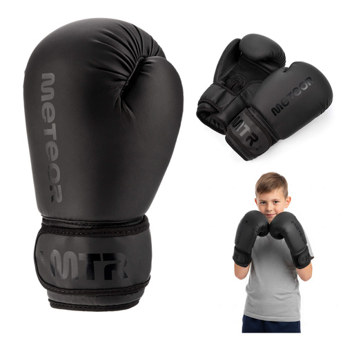 Boxing Gloves Meteor 6 oz training, hook-and-loop strap, PU