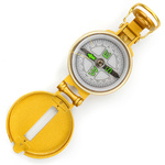 Meteor metal compass round