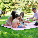 Picnic Blanket Meteor 2XL 200x200 cm pink