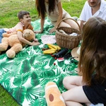 Picnic Blanket Meteor 2XL 200x200 cm leafs