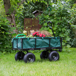 Meteor steel cart TW-100 green