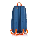 Cooler backpack Meteor Arctic 10 l blue/grey