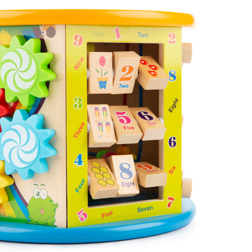 Wooden educational cube