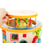 Wooden educational cube