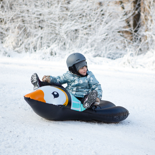 Ślizg śnieżny Penguin czarny/miętowy