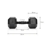 Meteor Hexagonal Dumbbell 10 kg