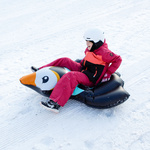 Snow tube Meteor Penguin black/mint