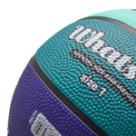 Basketball Meteor What's up 1 purple/blue
