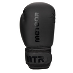 Boxing Gloves Meteor 6 oz training, hook-and-loop strap, PU
