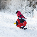 Snow tube Meteor Penguin black/red