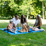 Picnic Blanket Meteor XL 175x200 cm blue