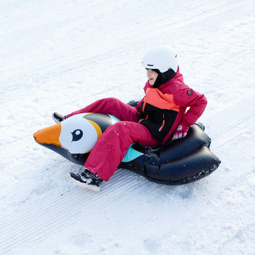 Ślizg śnieżny Penguin czarny/miętowy