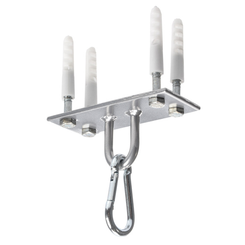 Ceiling Mount for training punching bag