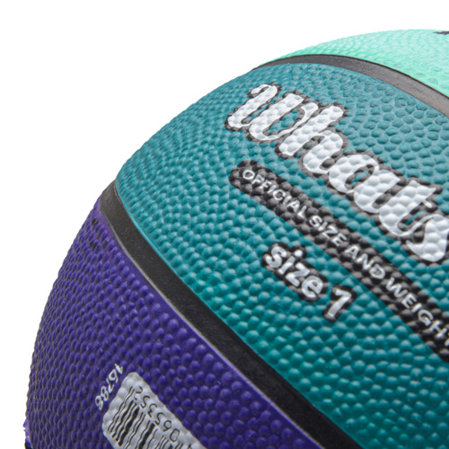 Basketball Meteor What's up 1 purple/blue