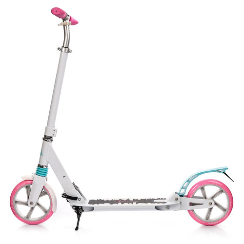 Scooter Meteor City Venice