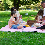 Picnic Blanket Meteor 150x190 cm pink
