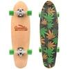 Cannabis