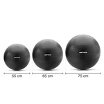 Fitness ball Meteor 55 cm black