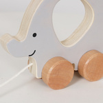 Wooden Montessori set