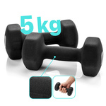 Cast iron dumbbell set 2x5 kg Meteor