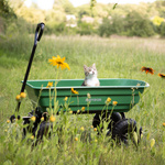 Meteor 3-in-1 tipper cart TC-250 green