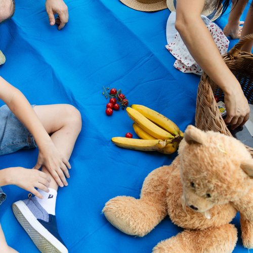 Picnic Blanket Meteor XL 175x200 cm blue