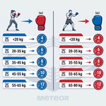 Boxing Gloves Meteor 10 oz training, hook-and-loop strap, PU