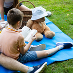 Picnic Blanket Meteor XL 175x200 cm blue